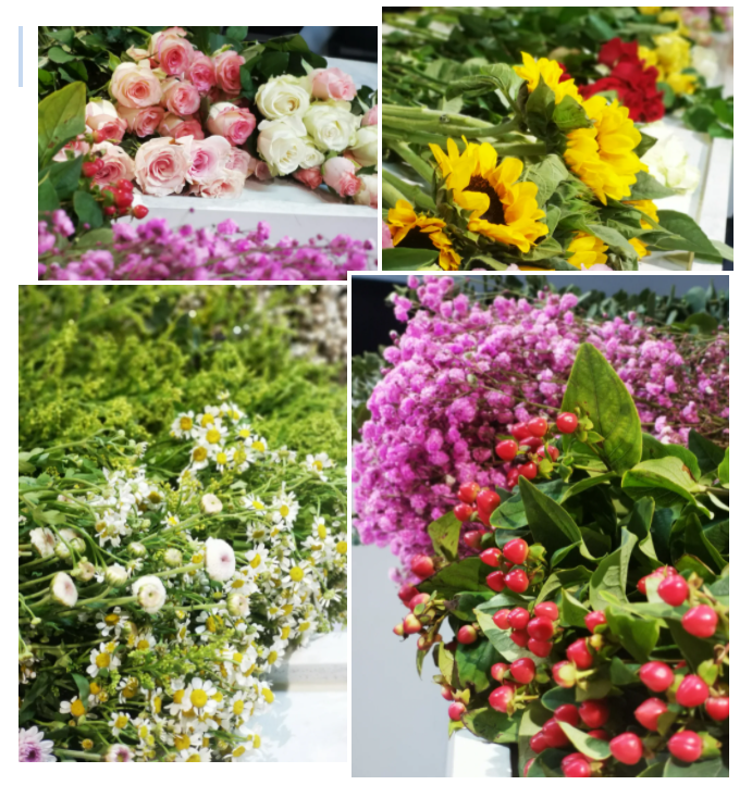 1629854442939218.png image.png